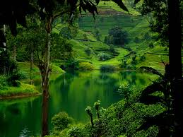 Sri Lanka Blends of Nature